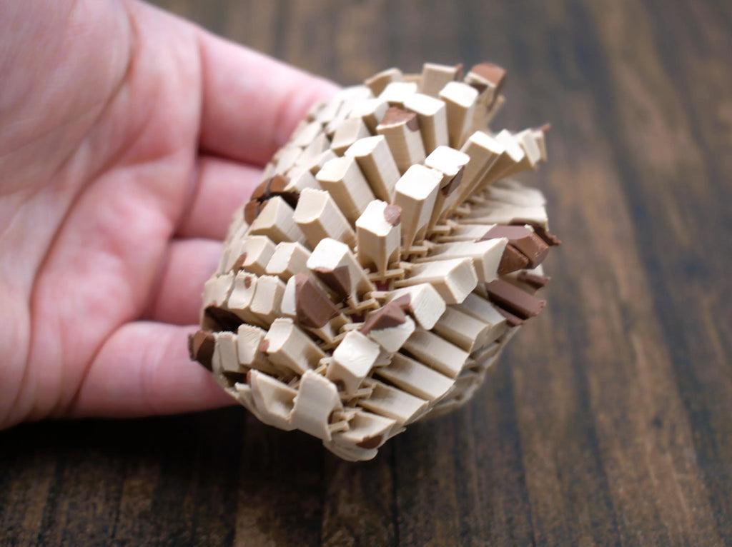 Floppy Chocolate Chip Cookie