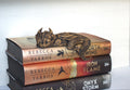 Sleeping Dragon Book Shelf Topper